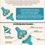 Eu vou fazer resumos da sua faculdade e escola