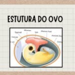 Eu vou fazer edição de vídeo e slides.