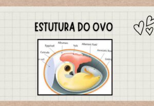 Eu vou fazer edição de vídeo e slides.
