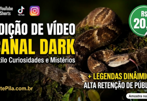 Eu vou editar seu vídeo curto para Shorts, TikTok ou VSL