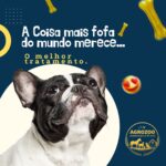 Eu vou fazer 20 artes profissionais para o seu negócio