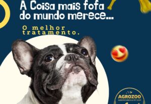 Eu vou fazer 20 artes profissionais para o seu negócio