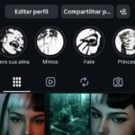 Eu vou fazer Organização Completa de Perfil