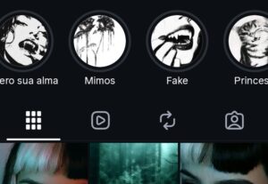 Eu vou fazer Organização Completa de Perfil