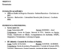 Eu vou Criar um Curriculo Personalisado e Otimizado para voc...