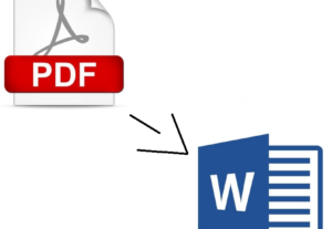 Eu vou Coverter seu Arquivo de Pdf para word, Formatado