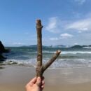 Foto do perfil do trabalhador freelancer