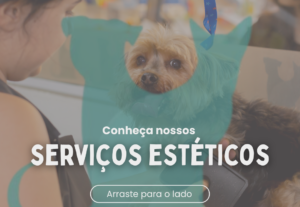 Eu vou fazer uma arte simples para o seu negócio