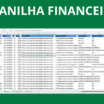 Eu vou organizar e conciliar suas planilhas financeiras.