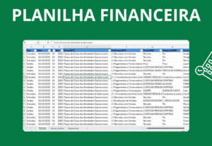Eu vou organizar e conciliar suas planilhas financeiras.