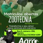 Eu vou CRIAR artes no canva para sua empresa.