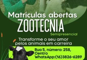 Eu vou CRIAR artes no canva para sua empresa.