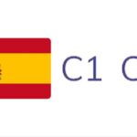 Eu vou Traduzir trabalhos acadêmicos em espanhol