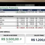 Eu vou organizar sua vida financeira