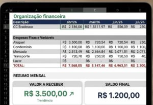 Eu vou organizar sua vida financeira
