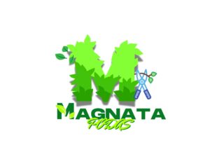 Eu vou fazer Design de identidade visual para marcas