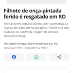 Eu vou fazer textos jornalísticos a partir da sua apuração.