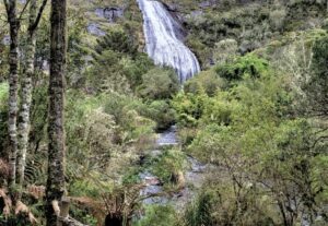 Eu vou fazer uma vídeo chamada da cachoeira da minha janela