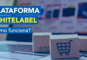 Eu vou construir uma plataforma while label como você quiser