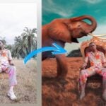 Eu vou fazer uma montagem detalhada para você.