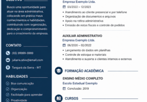 Eu vou Fazer currículo profissional simples e rápido