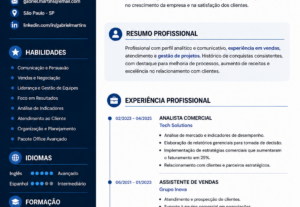 Eu vou criar seu curriculo profissional