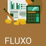 Eu vou organizar seu fluxo de caixa com precisão