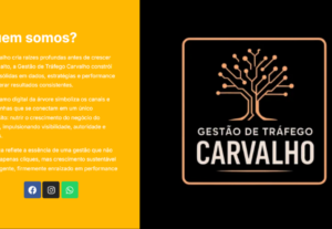 Eu vou realizar gestão de anúncios online.