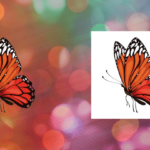 Eu vou fazer 20 imagens PNG da sua escolha