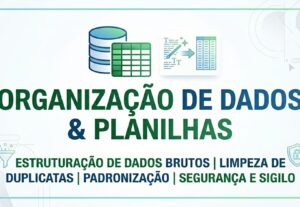 Eu vou organizar e limpar seus dados brutos no Excel