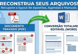 Eu vou transformar seu PDF em Word