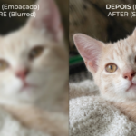 Eu vou transformar sua foto antiga em uma imagem 4K