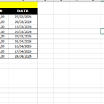 Eu vou fazer planilhas no exel e organizar seus trabalhos