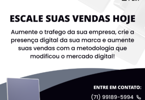 Eu vou fazer Criação de website profissional em 3 dias