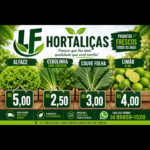 Eu vou fazer a organização escrita dos seus arquivos