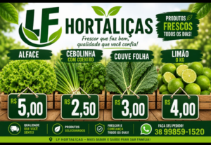 Eu vou fazer a organização escrita dos seus arquivos