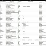 Eu vou fazer 1 planilha com telefone, email de cnpj, mei, et...
