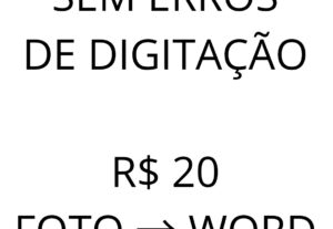 Eu vou digitar 5 páginas de PDF ou foto para Word