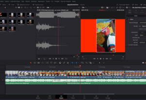 Eu vou editar seu vídeo de forma criativa e completa.