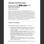 Eu vou formatar seu currículo para o padrão profissional our...