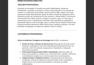Eu vou formatar seu currículo para o padrão profissional our...