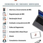 Eu vou Fazer declaração do MEI e Imposto de Renda.