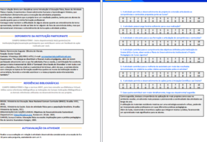 Eu vou fazer relatórios acadêmicos profissionais com revisão...
