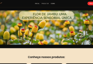Eu vou Criar um langpage para você