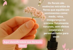 Eu vou Criar posts para redes sociais. Artes no canva.