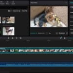 Eu vou editar seus vídeos para Reels, TikTok e Shorts -Extra...