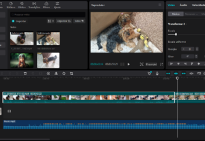 Eu vou editar seus vídeos para Reels, TikTok e Shorts -Extra...