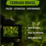 Eu vou transformar conteúdos técnicos em cortes estratégicos...