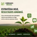 Eu vou fazer a Pré-Estratégia de Marketing Digital para Agro...