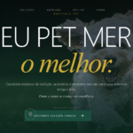 Eu vou criar um site profissional para sua empresa